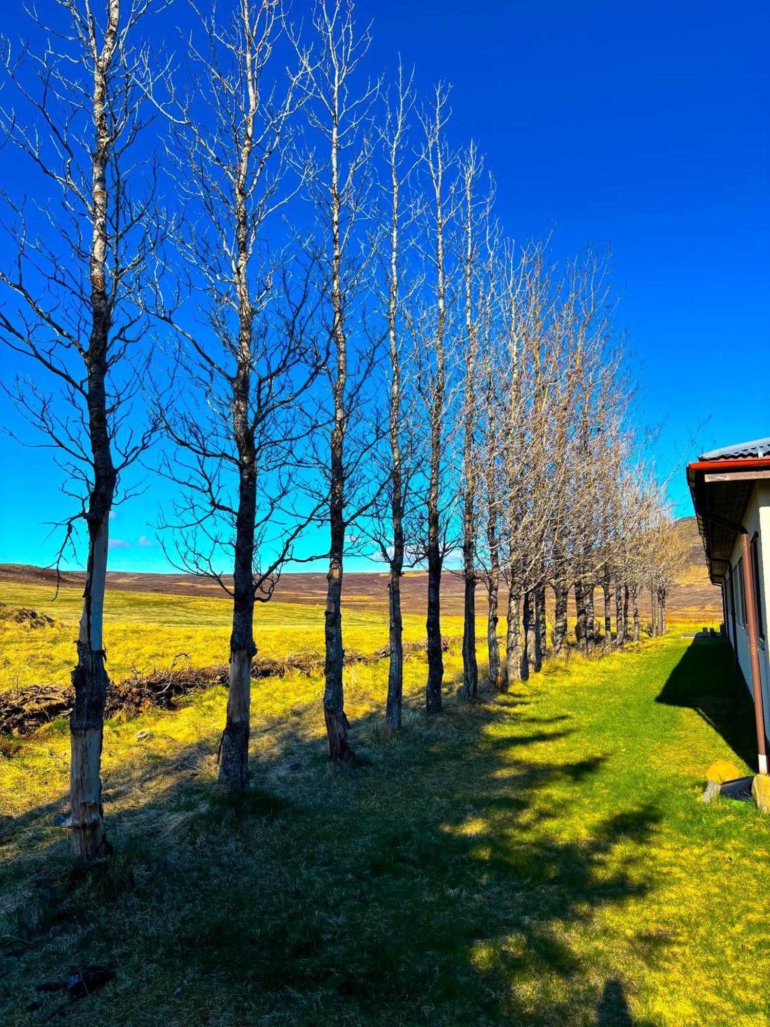 Hotel Bru Country Estate Selfoss Exterior foto